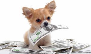 Document budgétaires AG 2019